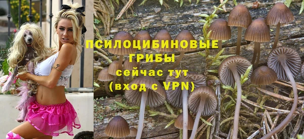 круглые Алзамай